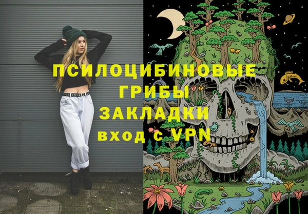 тгк Алзамай