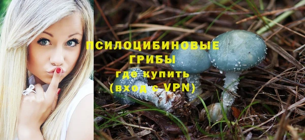 тгк Алзамай