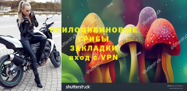 тгк Алзамай