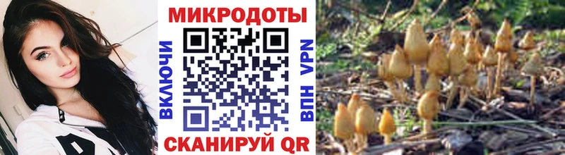 закладки  Невьянск  Псилоцибиновые грибы Magic Shrooms 